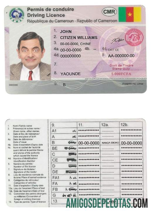 Carta de condução dos Camarões amostra